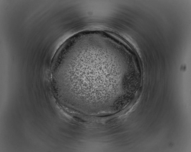X0000091061481200708271145