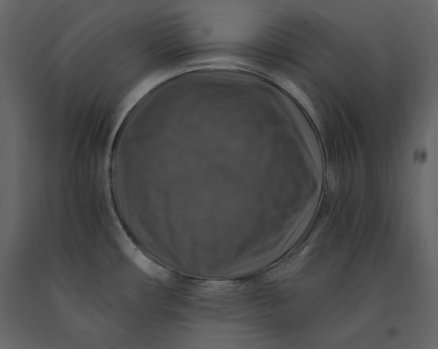 X0000091061482200708271145