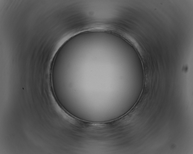 X0000091061483200708271145