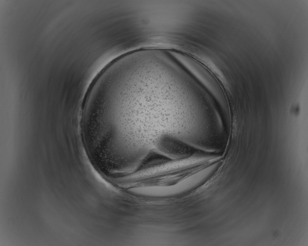X0000091061484200708271145