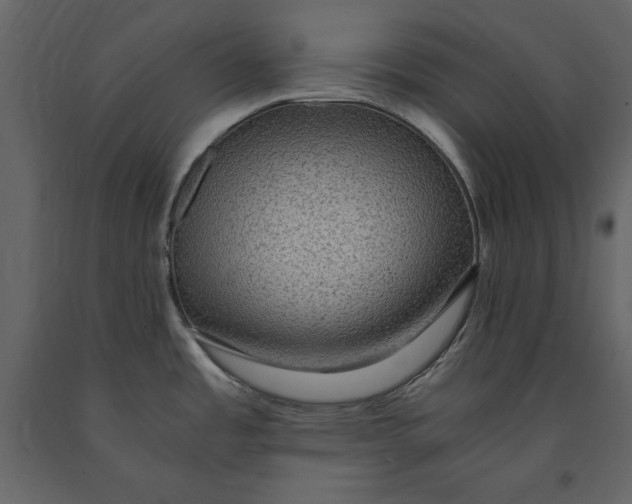 X0000091061485200708271145
