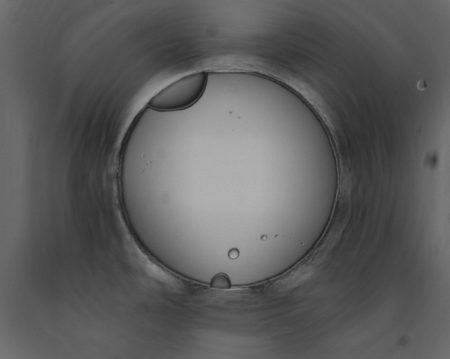 X0000091061486200708271145