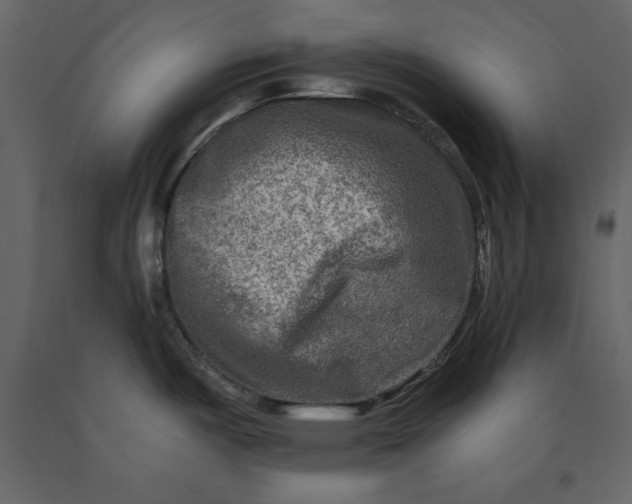 X0000091061487200708271145