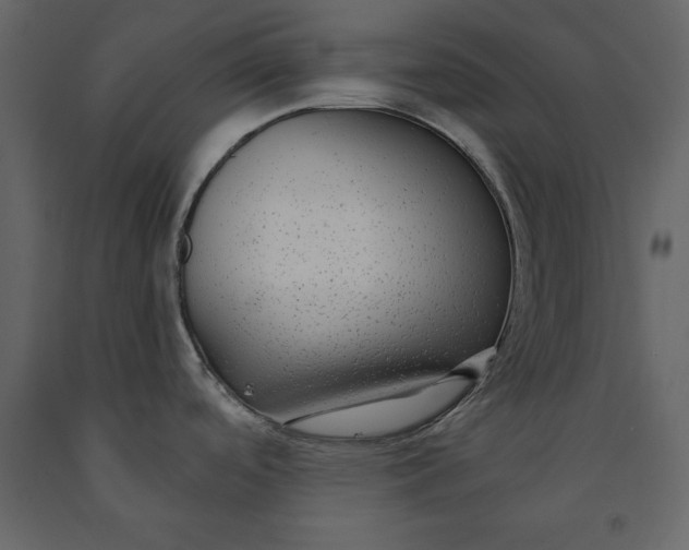 X0000091061488200708271145