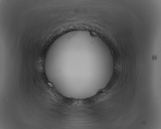 X0000091061490200708271145