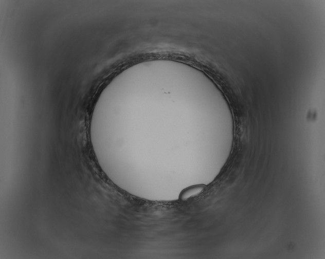 X0000091061493200708271145
