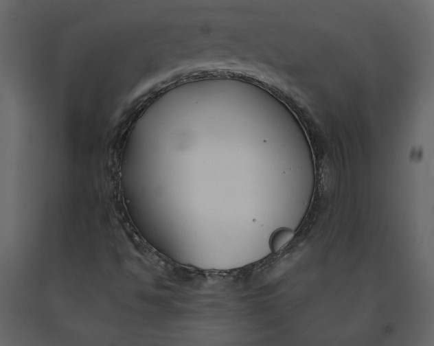 X0000091061494200708271145