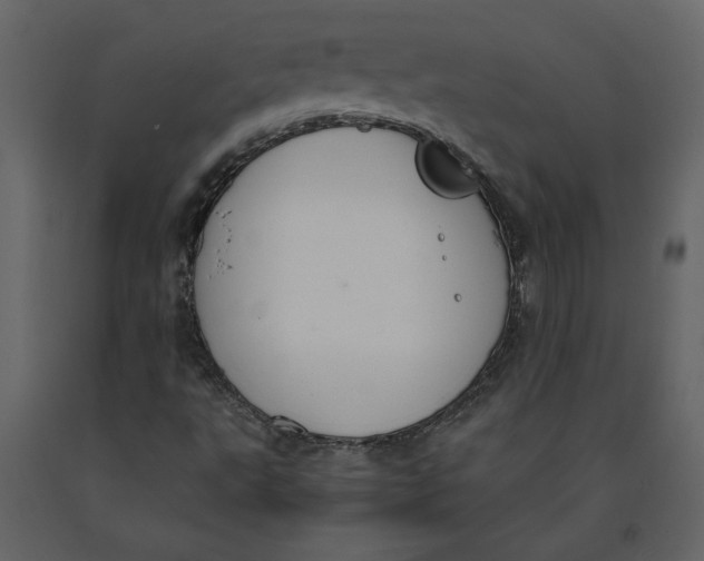 X0000091061495200708271145