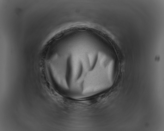 X0000091061496200708271145