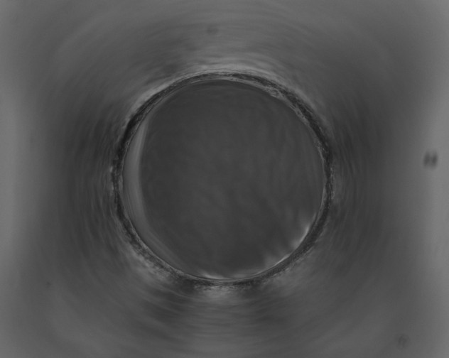 X0000091061497200708271145