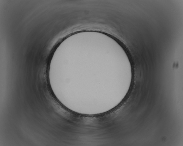 X0000091061498200708271145