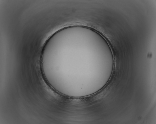 X0000091061500200708271145