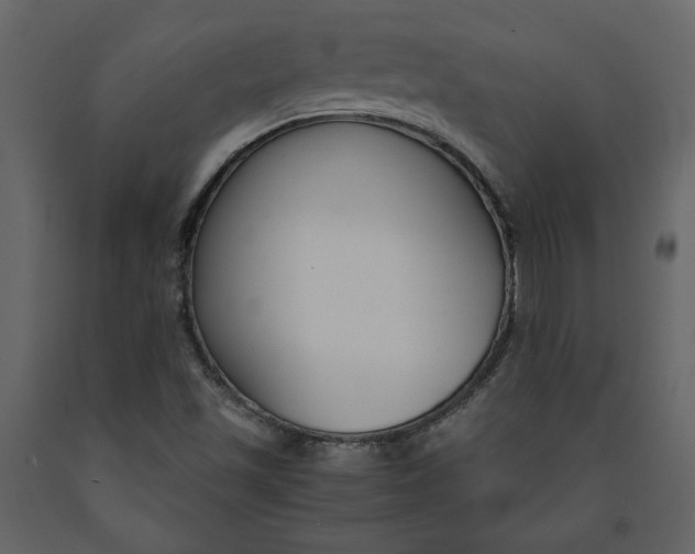 X0000091061501200708271145