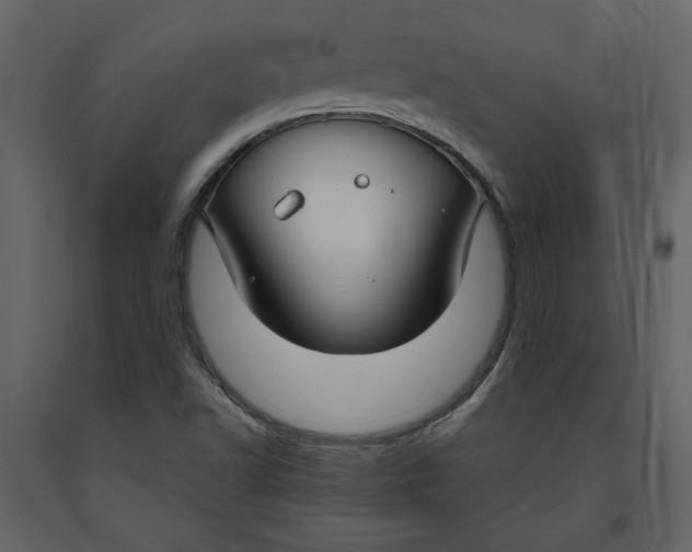 X0000091061502200708271145