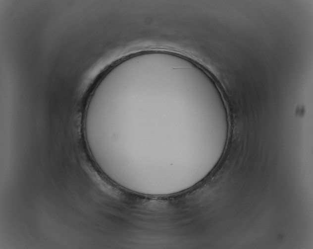X0000091061503200708271145