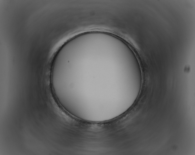 X0000091061504200708271145