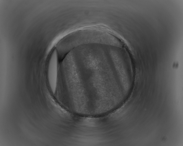 X0000091061506200708271145