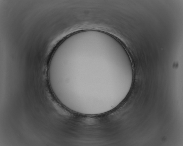 X0000091061507200708271145