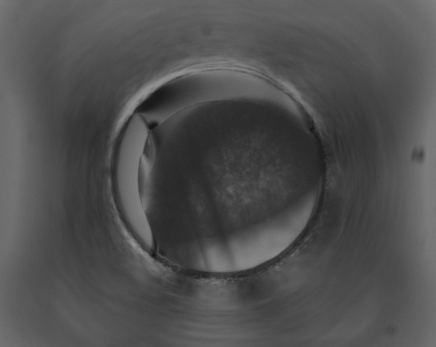 X0000091061508200708271145