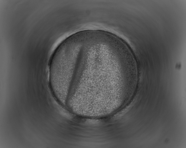 X0000091061509200708271145