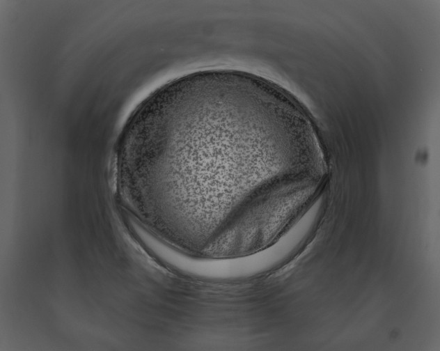 X0000091061510200708271145