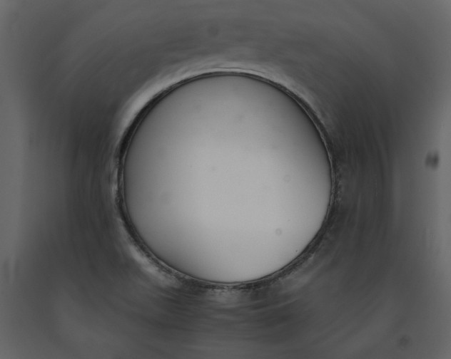 X0000091061511200708271145