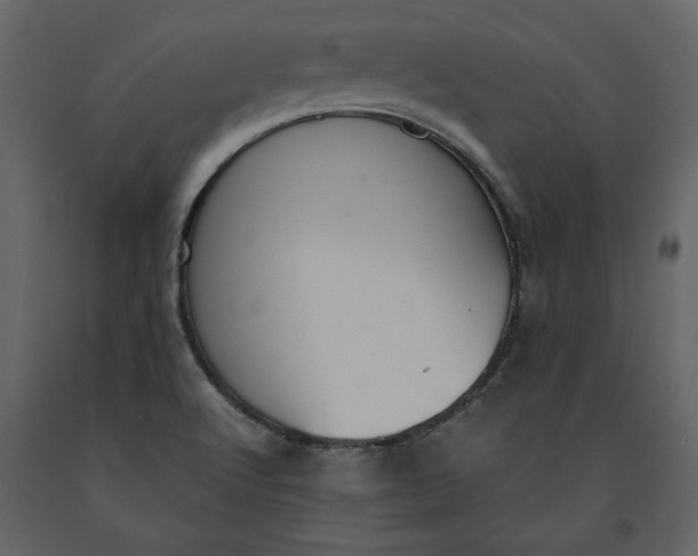 X0000091061512200708271145