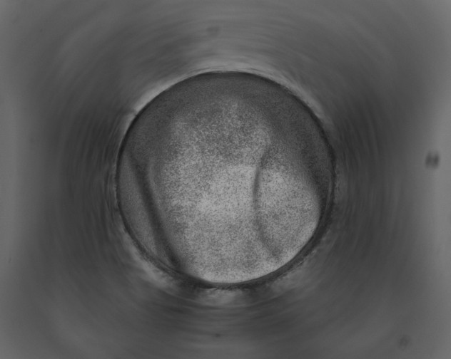 X0000091061513200708271145