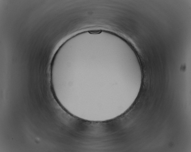 X0000091061516200708271145