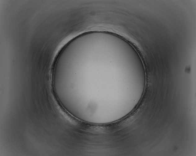 X0000091061517200708271145