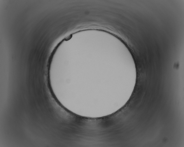 X0000091061518200708271145