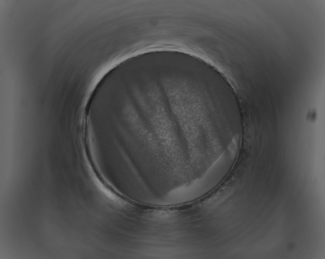 X0000091061519200708271145