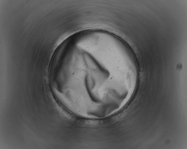 X0000091061521200708271145