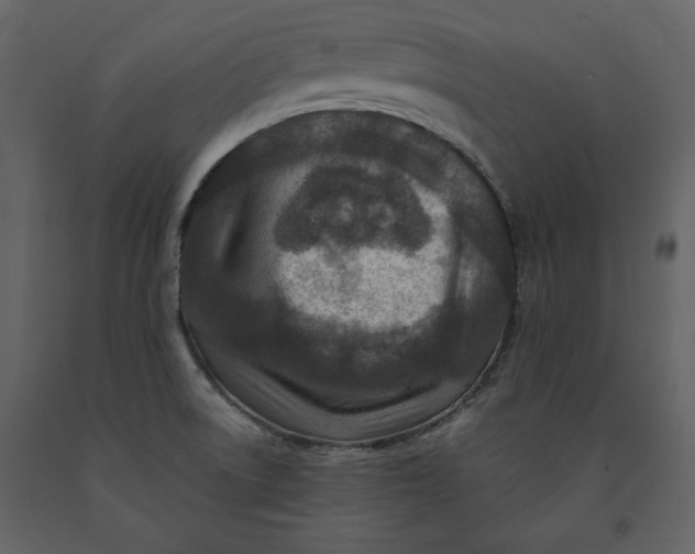 X0000091061522200708271145