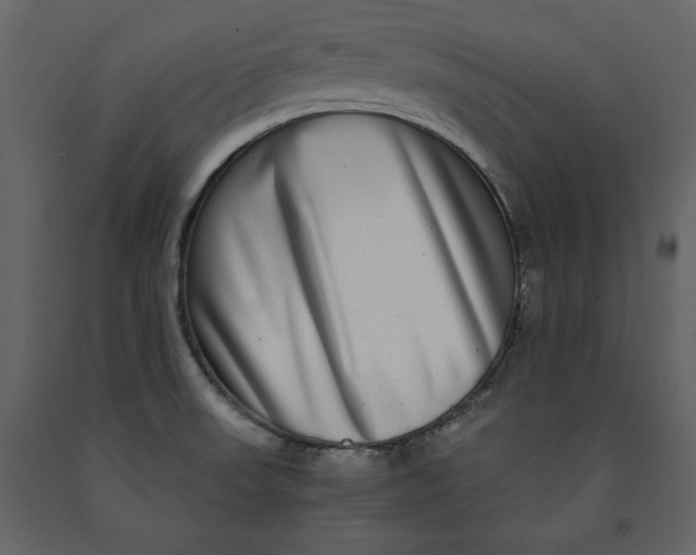 X0000091061523200708271145