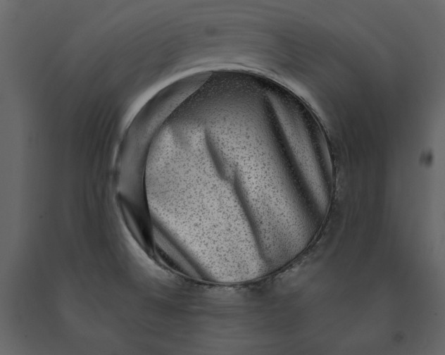 X0000091061524200708271145