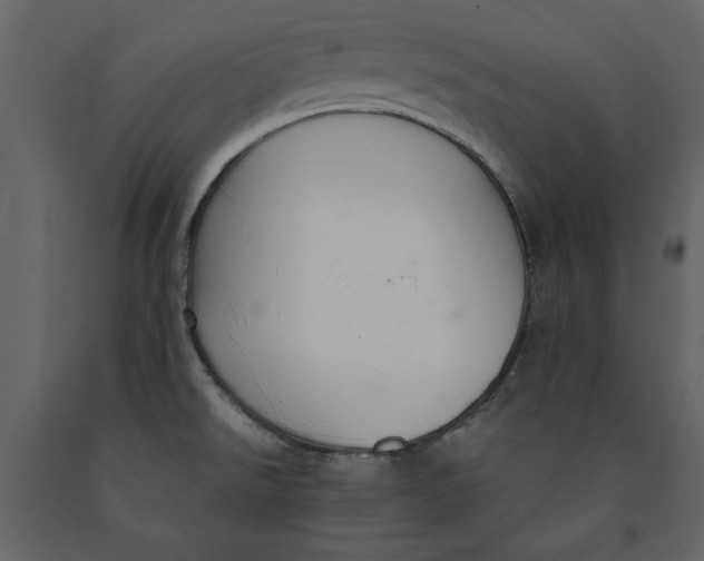 X0000091061526200708271145