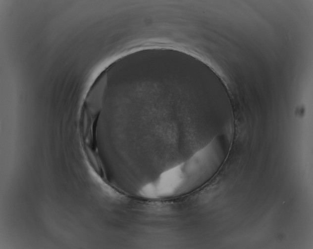 X0000091061527200708271145