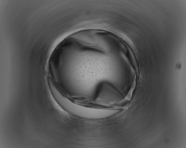 X0000091061528200708271145