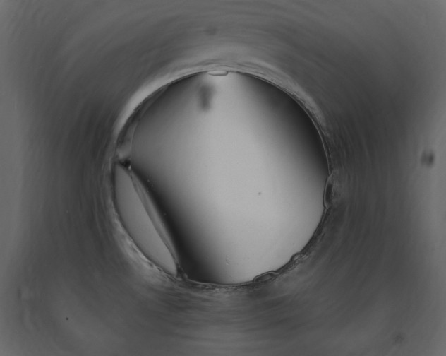 X0000091061530200708271145
