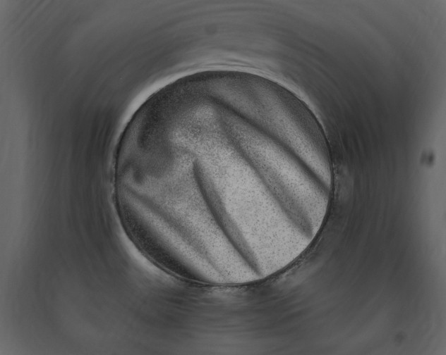 X0000091061531200708271145