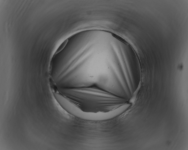 X0000091061532200708271145