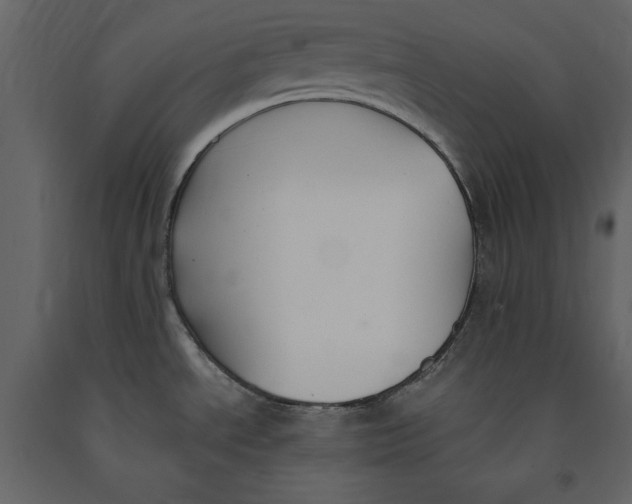 X0000091061534200708271145