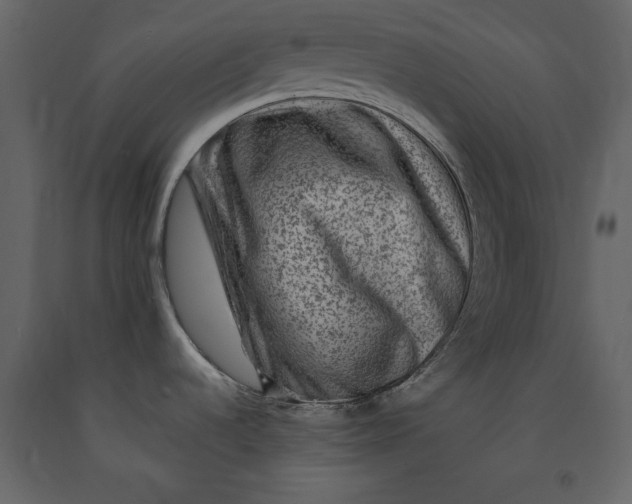 X0000091061536200708271145