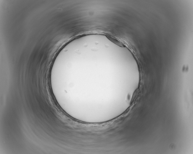 X0000091060001200709041208