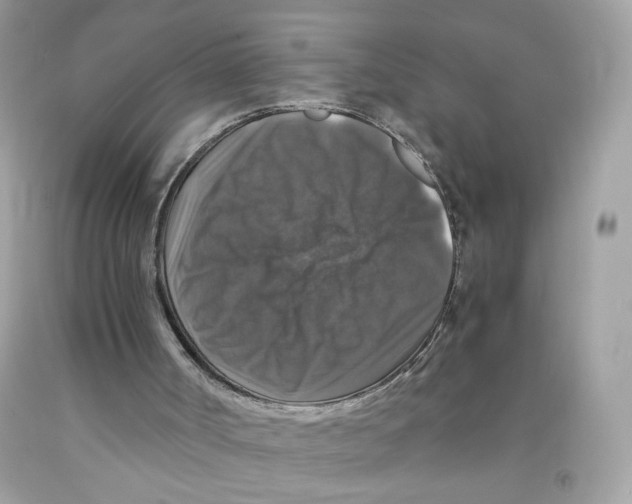 X0000091060002200709041208