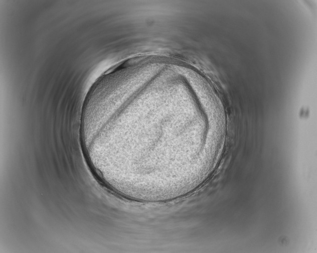 X0000091060003200709041208