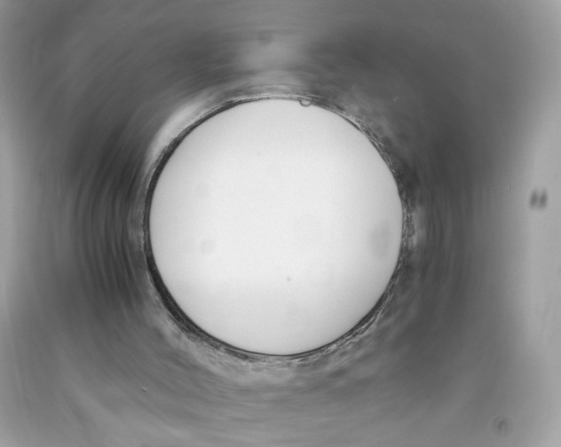 X0000091060004200709041208