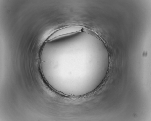 X0000091060005200709041208