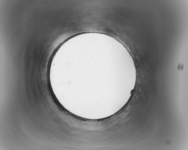 X0000091060008200709041208